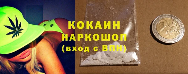 тгк Арсеньев