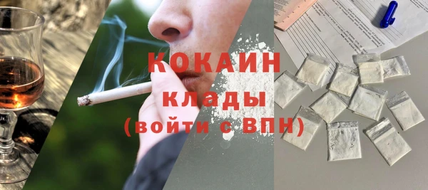 тгк Арсеньев