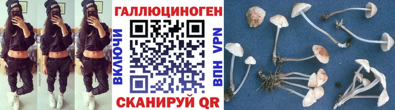 Псилоцибиновые грибы ЛСД  ссылка на мегу ONION  Оса 